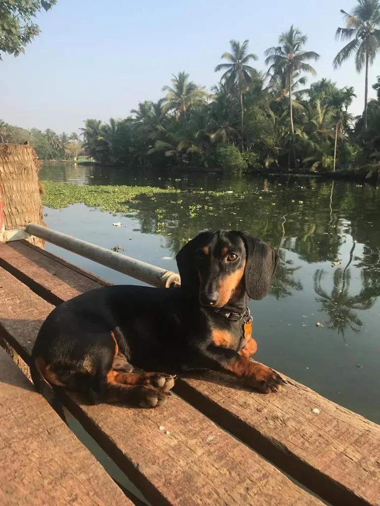 The Lake Paradise Boutique Resort Alappuzha Bed & Breakfast