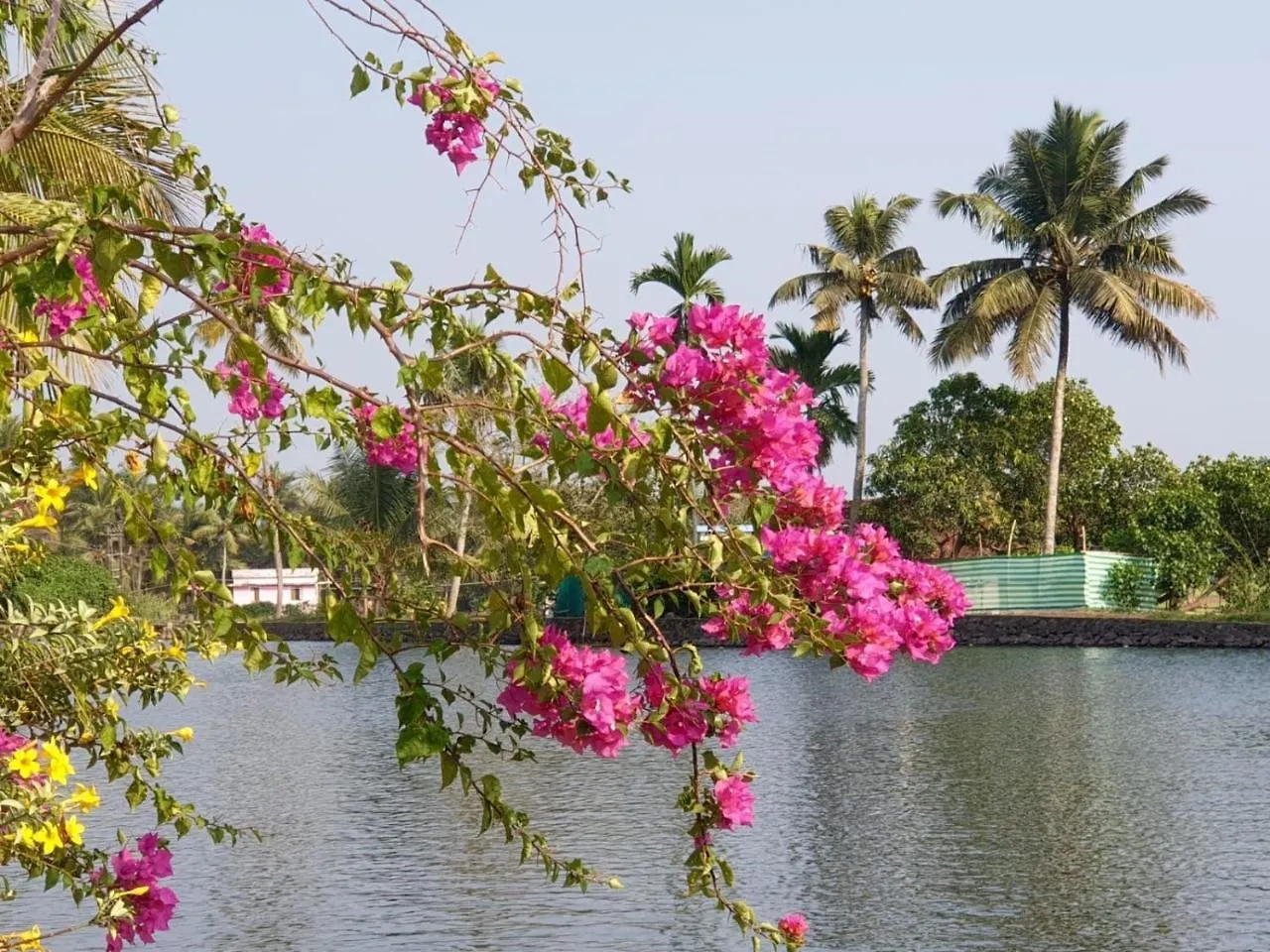 The Lake Paradise Boutique Resort Alappuzha Alojamento de Acomodação e Pequeno-almoço